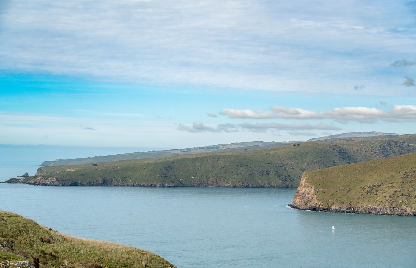 The green cliffs of the Otago Peninsula